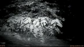 rock festival summary 0147