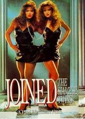 Близнецы (1989)