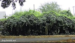 Invisible nakedness in the city. Body Art with public nude by Jeny Smith