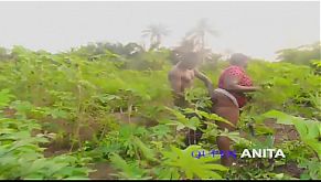 I Must Tell Chief I Caught Her In The Bush Fucking