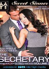 Секретарша 3