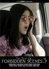 Лучшее из Запретных Сцен 3