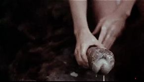 nhuang cuia chieng fi luoan pl