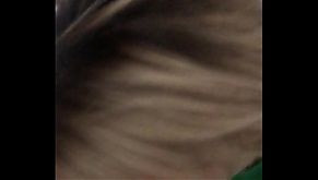 Orlovx5 sexwife blowjob cumshot HI, husband!