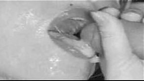 Madonna Uncensored: http://ow.ly/SqHsN