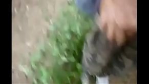 Dogging dans le bois avec la pute