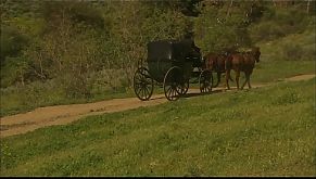 Good Day Mi´Lady would you please take my hard big cock &amp; cum in your mouth 14 min